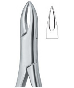 Henahan Incisors