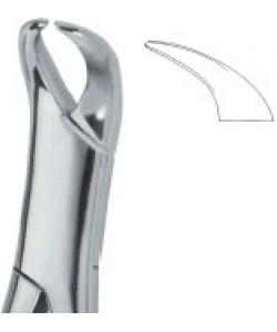 Molars 16