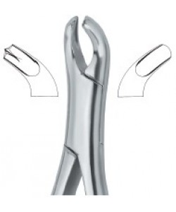 Harris Molars , Right 18R