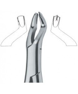 Molars , Left 53L