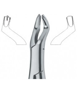 Molars , Right 53R