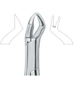 Nevius Molars , Right 88R