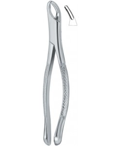 Cryer Bicuspids , Incisors and Roots 150