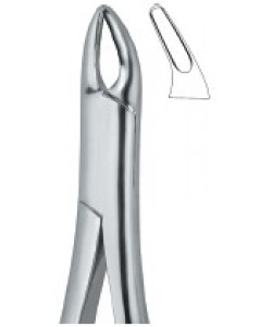 Cryer Bicuspids and Incisors , Roots 150S
