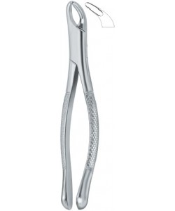 Cryer Bicuspids , Incisors and Roots 151