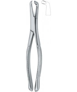 Third Molars 222