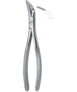 Witzel Root Fragments and Universal 502
